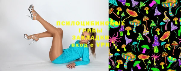 spice Алексин