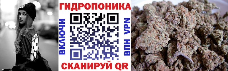 Канабис сатива  где купить наркотик  Новый Оскол 